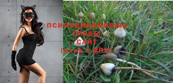 бутик Осинники