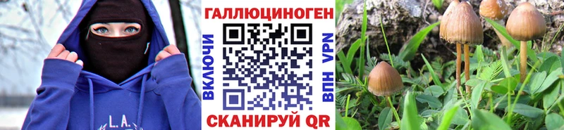 darknet телеграм  Белогорск  Псилоцибиновые грибы прущие грибы  хочу  