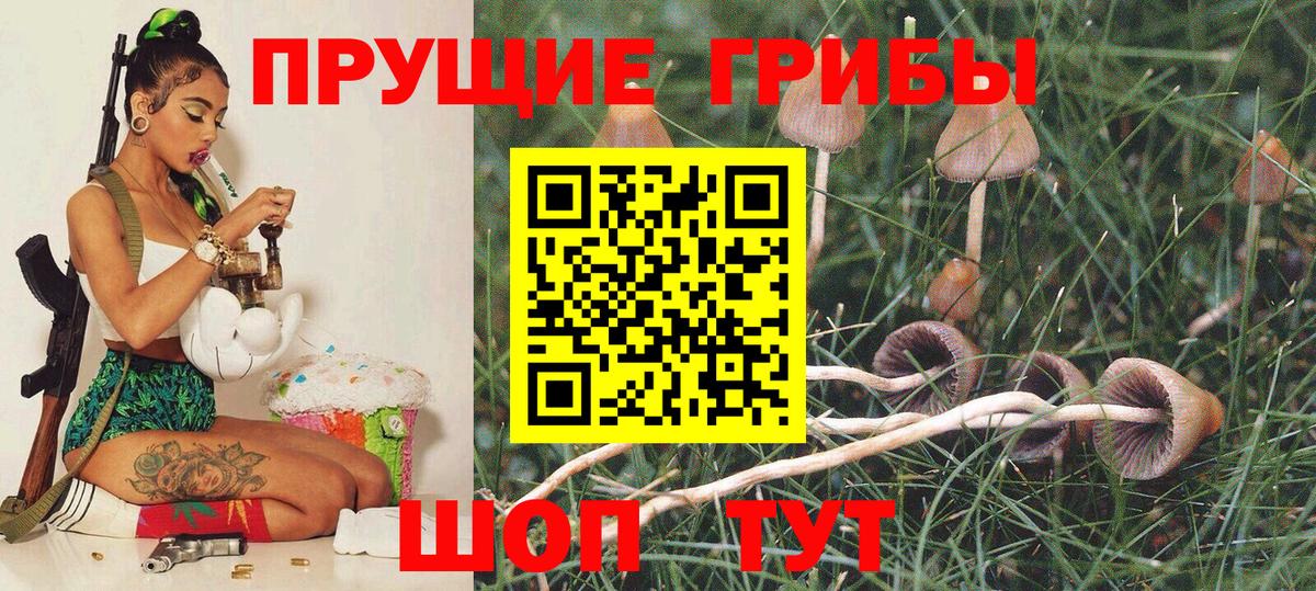 Белогорск  Псилоцибиновые грибы мухоморы  Вход с VPN 